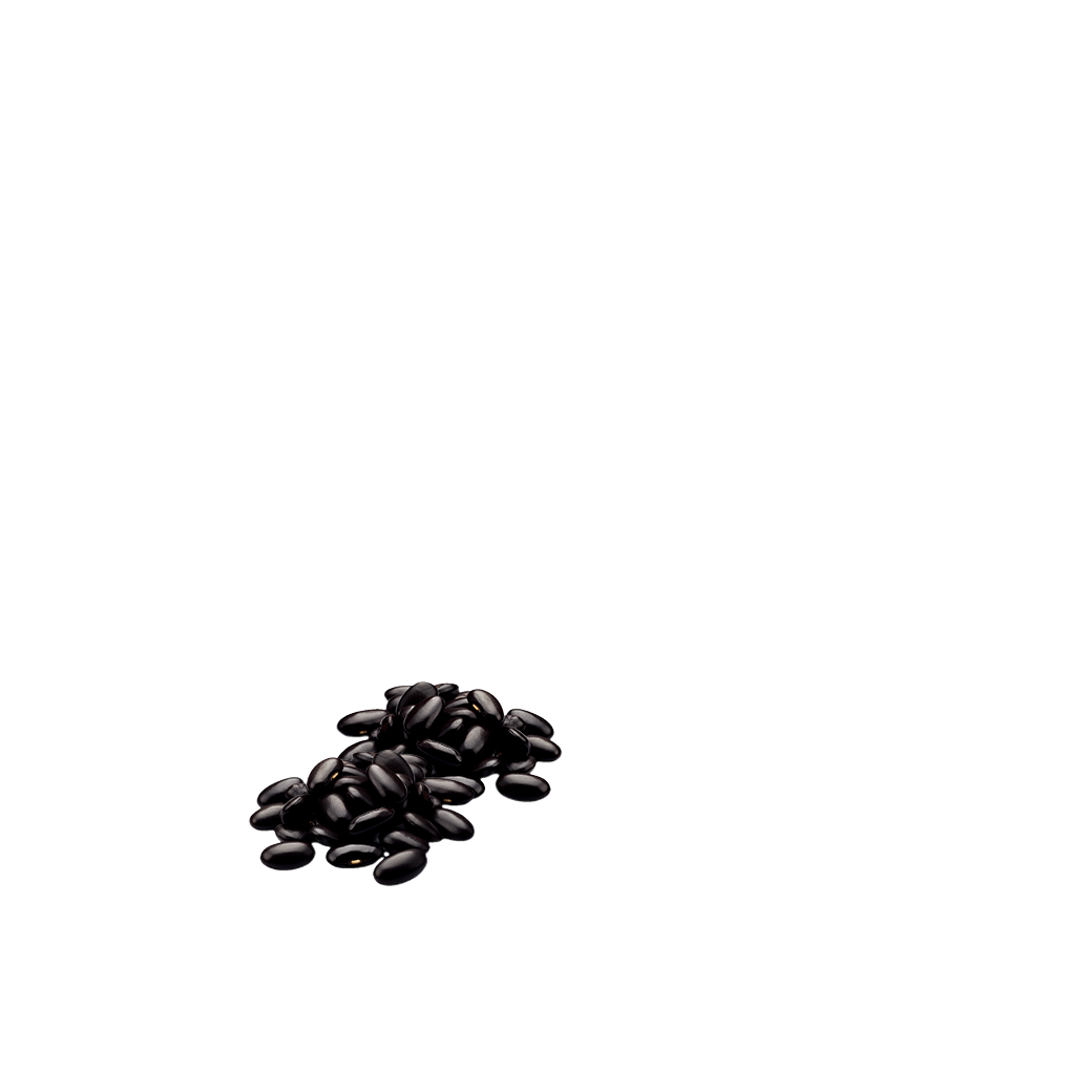 black bean