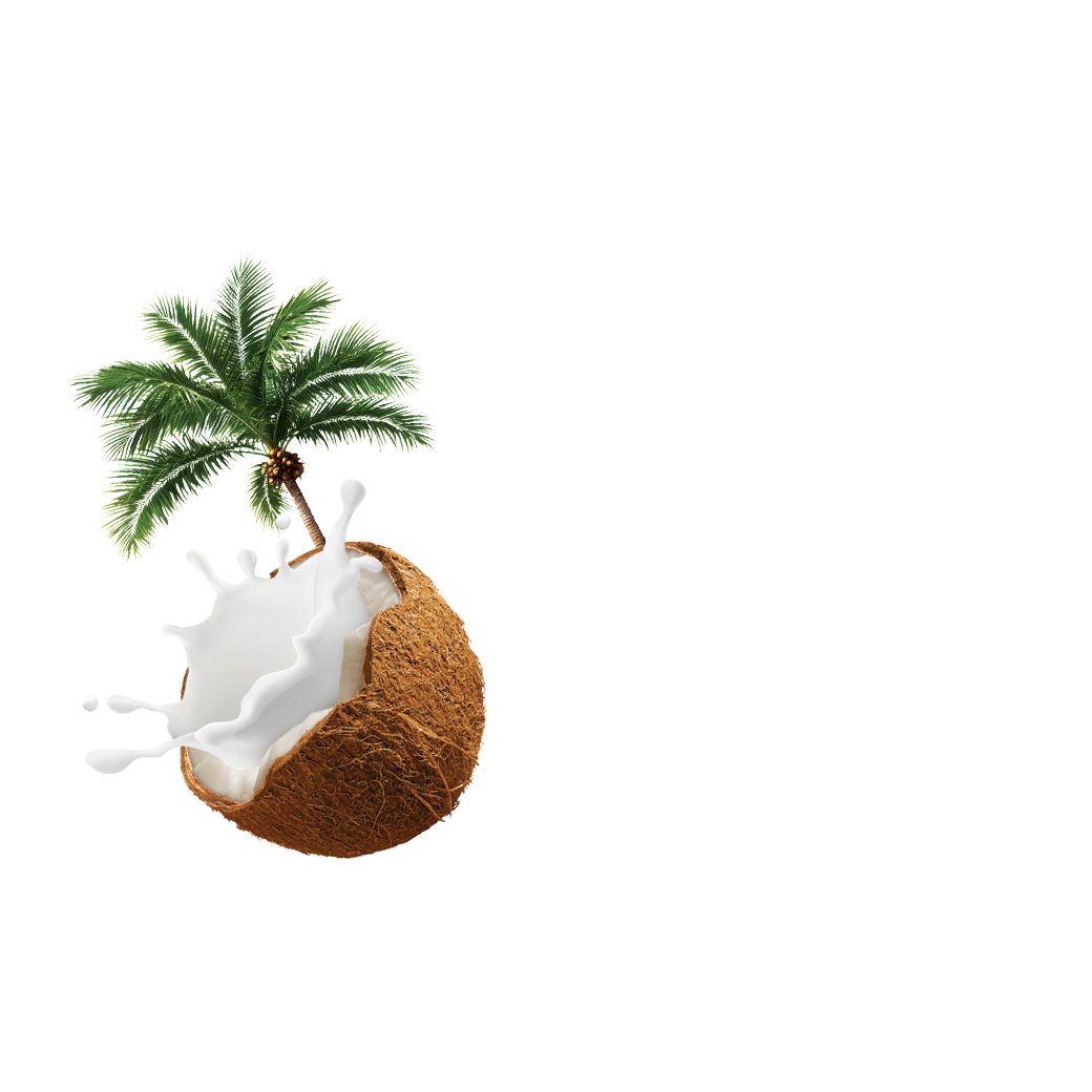 canned Coconut Cream