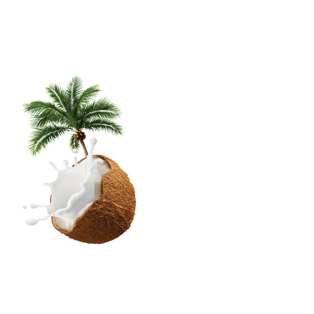canned Coconut Milk