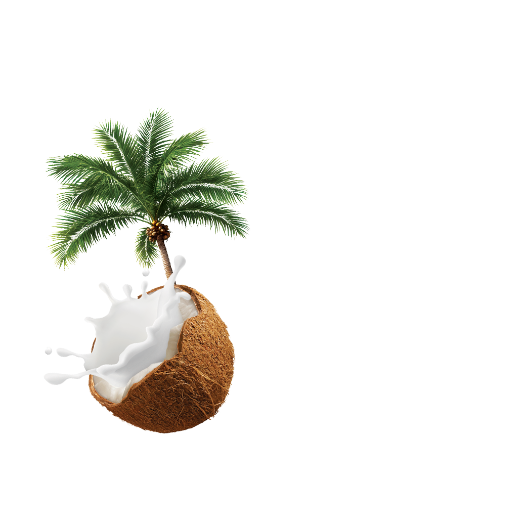 Coconut Milk UHT