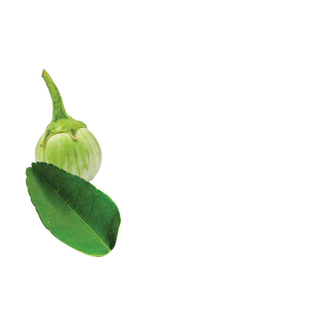 green curry box