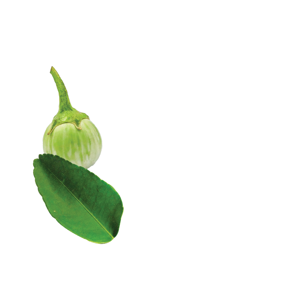 green curry kit