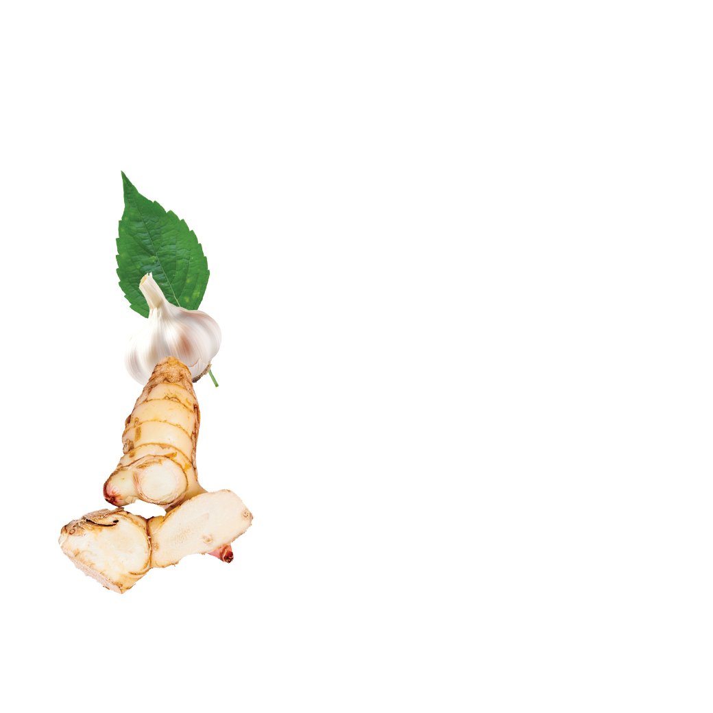 yellow curry paste