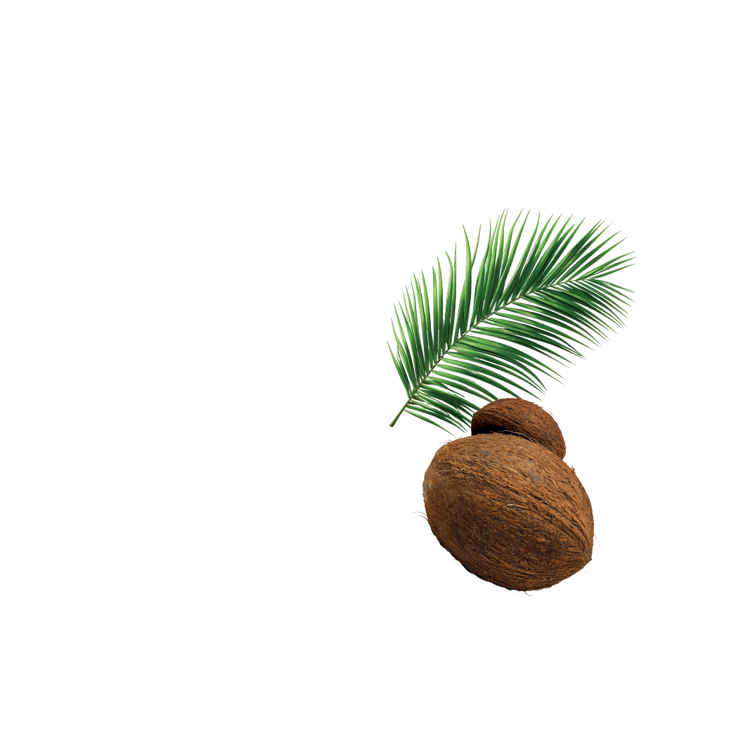 Coconut Milk UHT