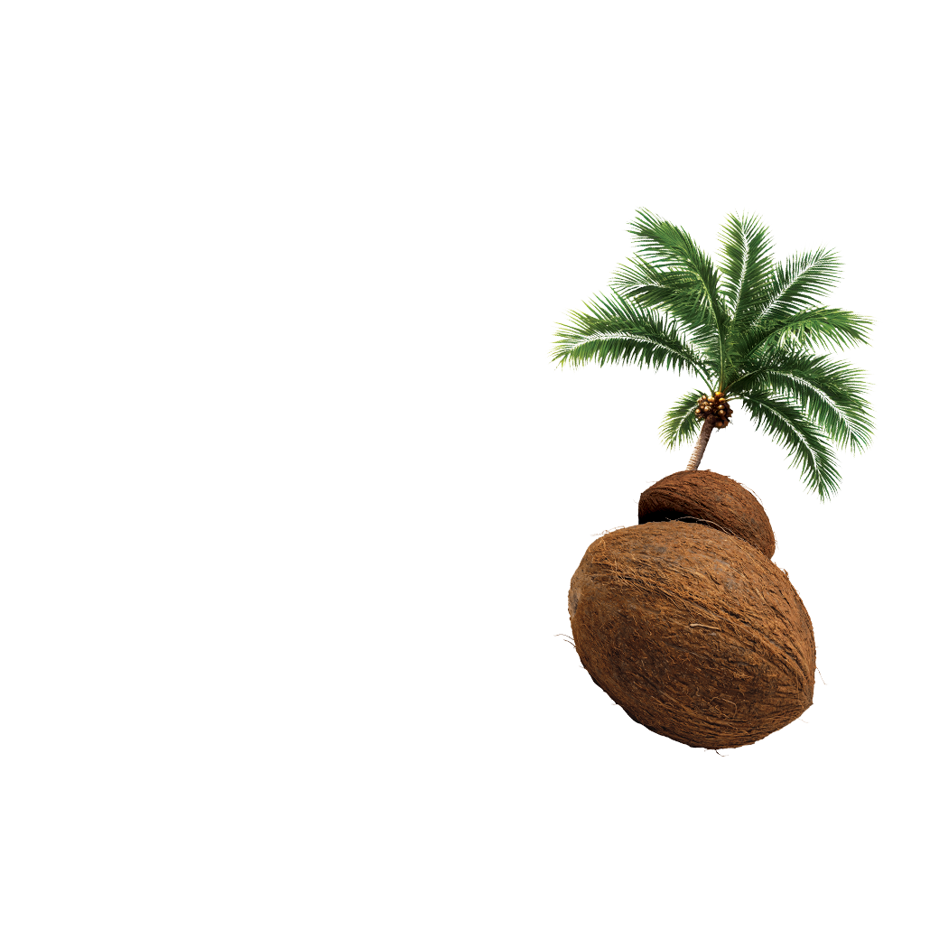 organic coconut milk