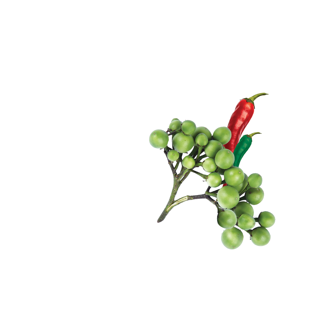 Green Curry Cooking Sauce