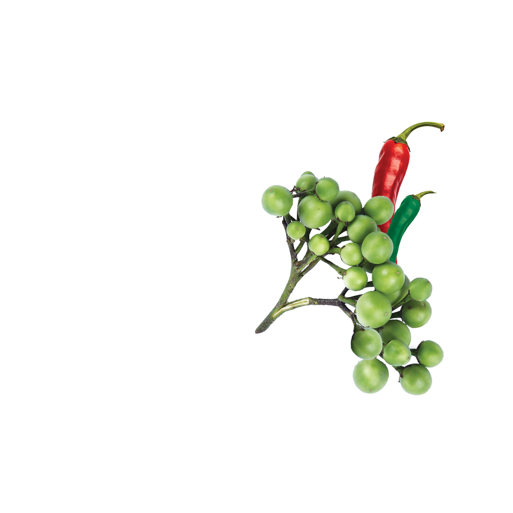 green curry kit