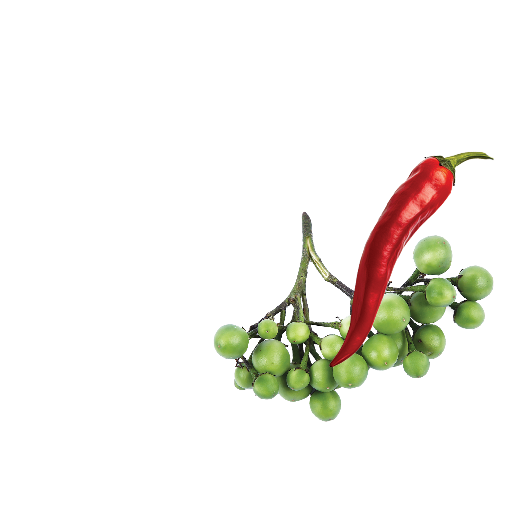 green curry