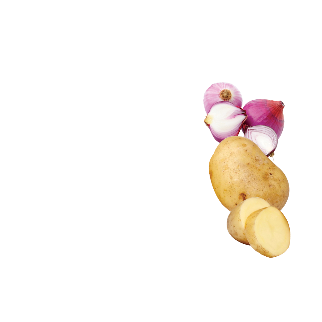 massaman curry