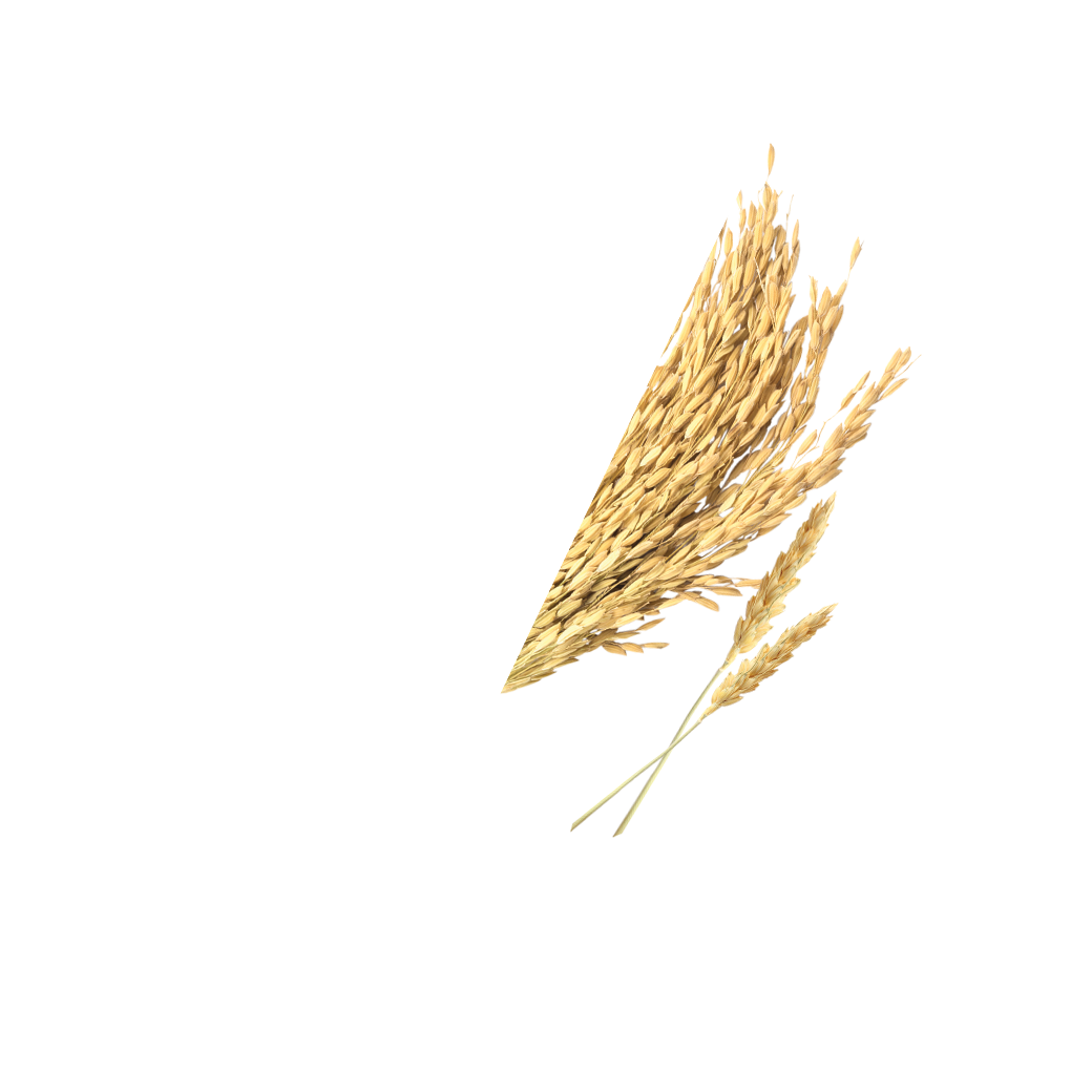 rice stick 1MM