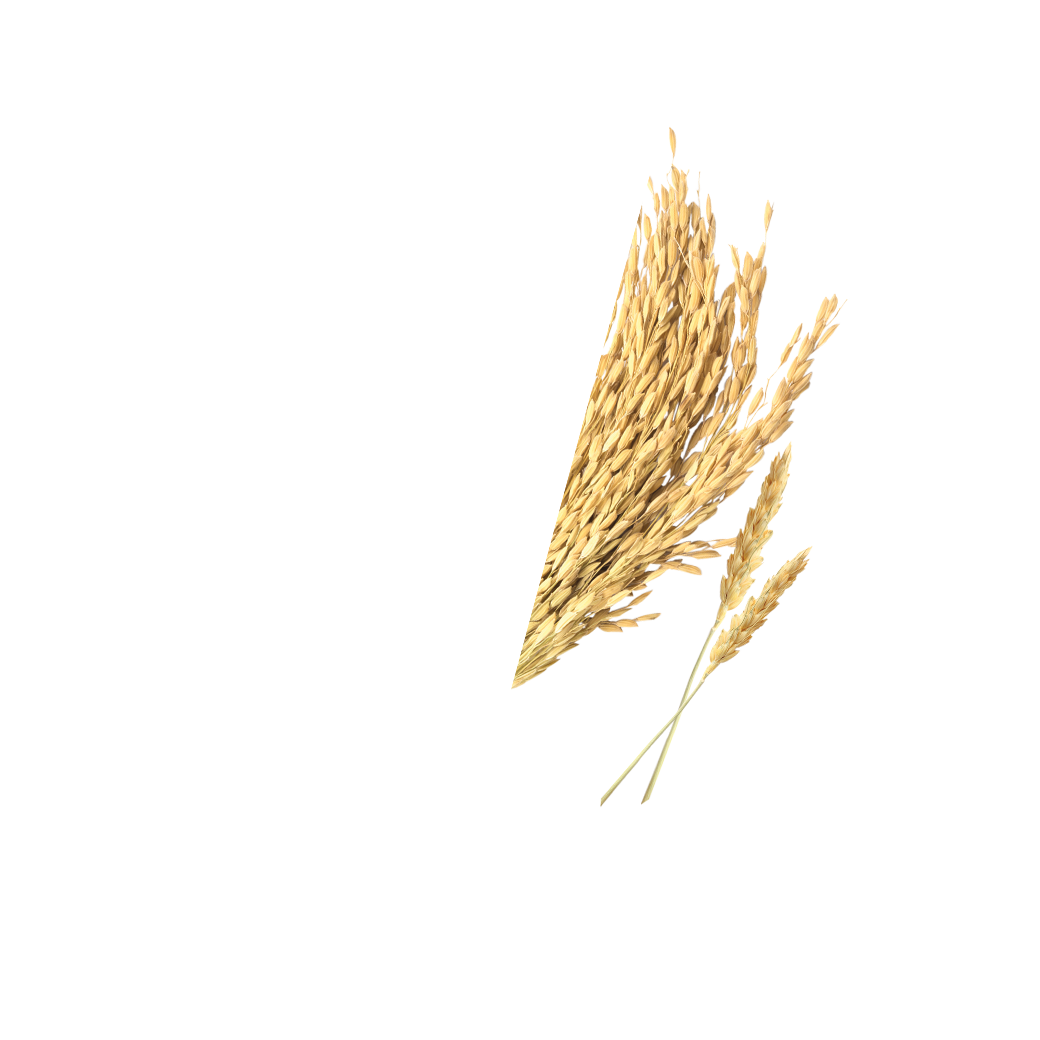 rice stick 5MM