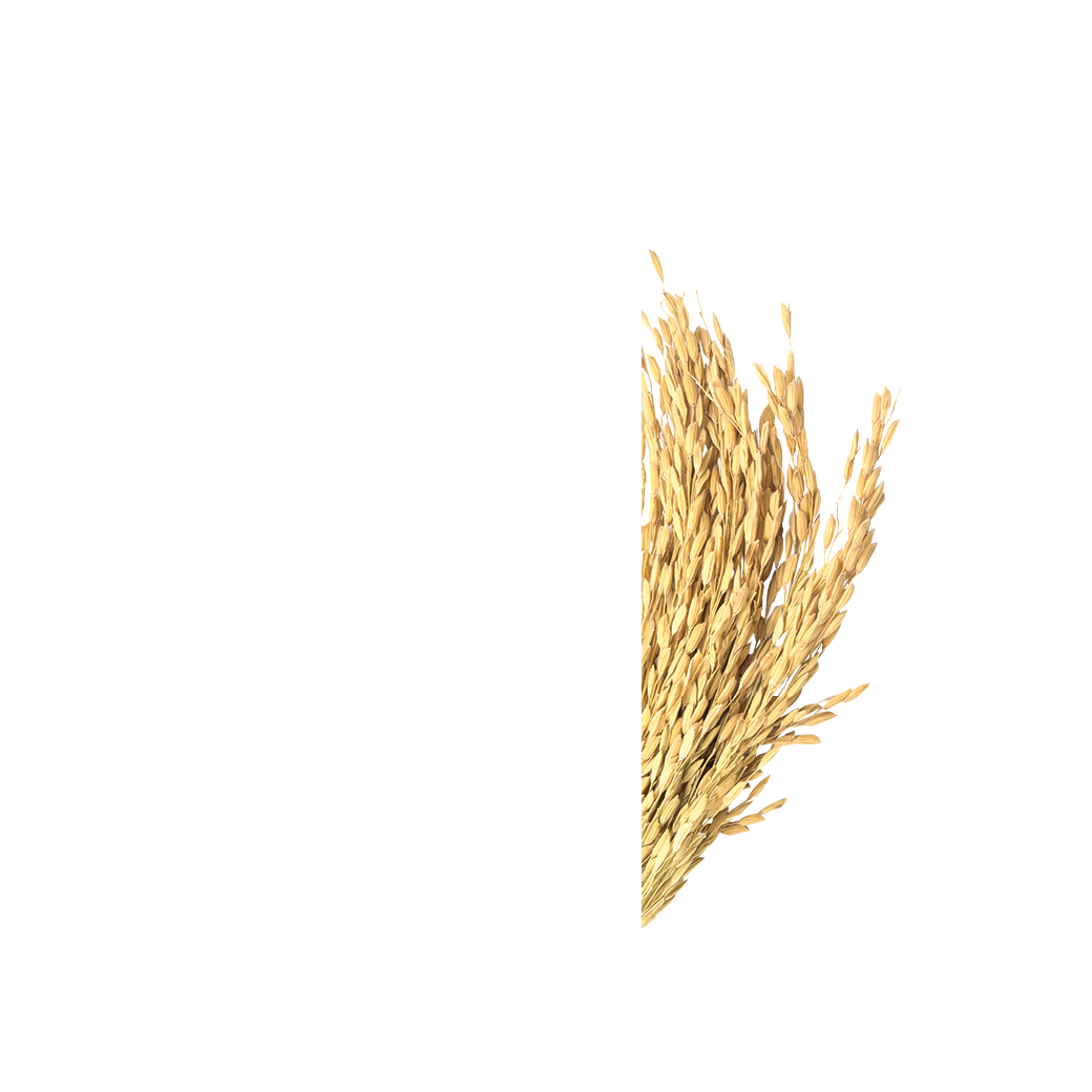 rice vermicelli