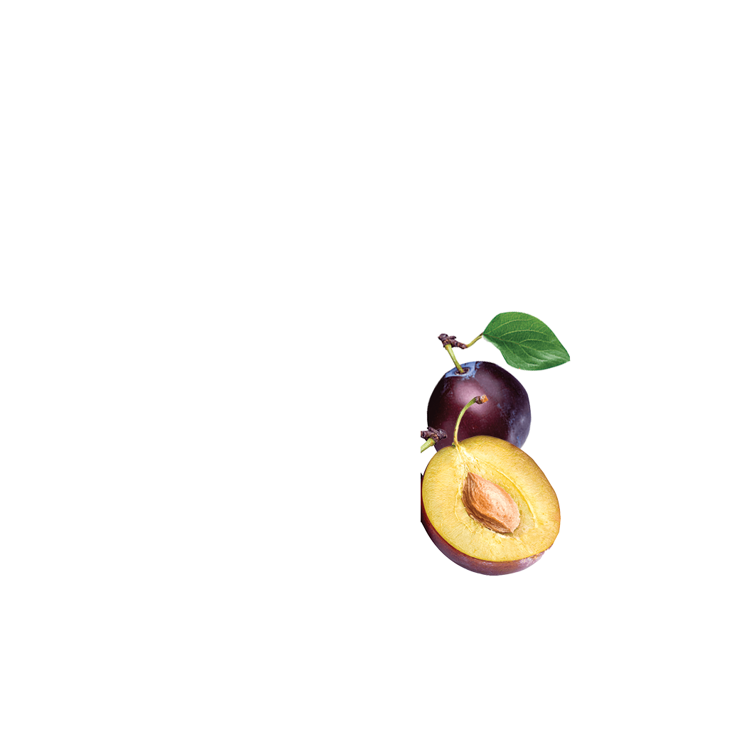 sweet plum sauce