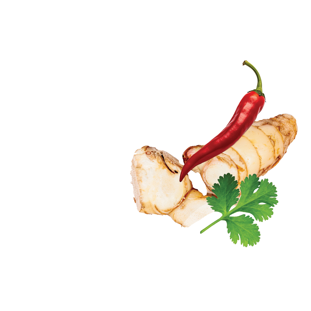 tom kha paste